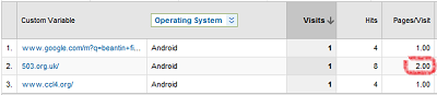 Details of a screenshot from Google Analytics showing that a 503.org.uk was a referrer